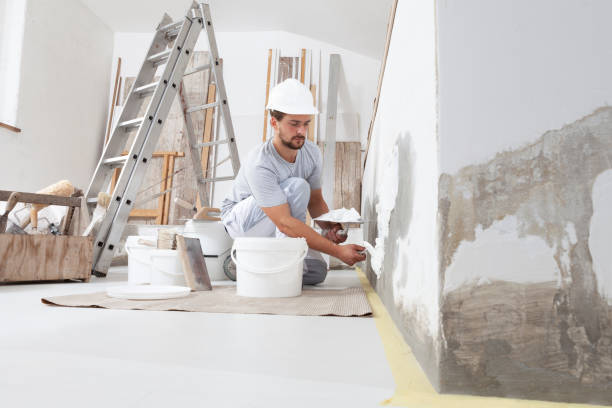 Best Fire-Damaged Drywall Repair  in Benson, MN